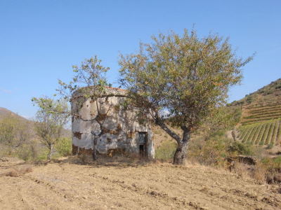 Old Pigeon House.